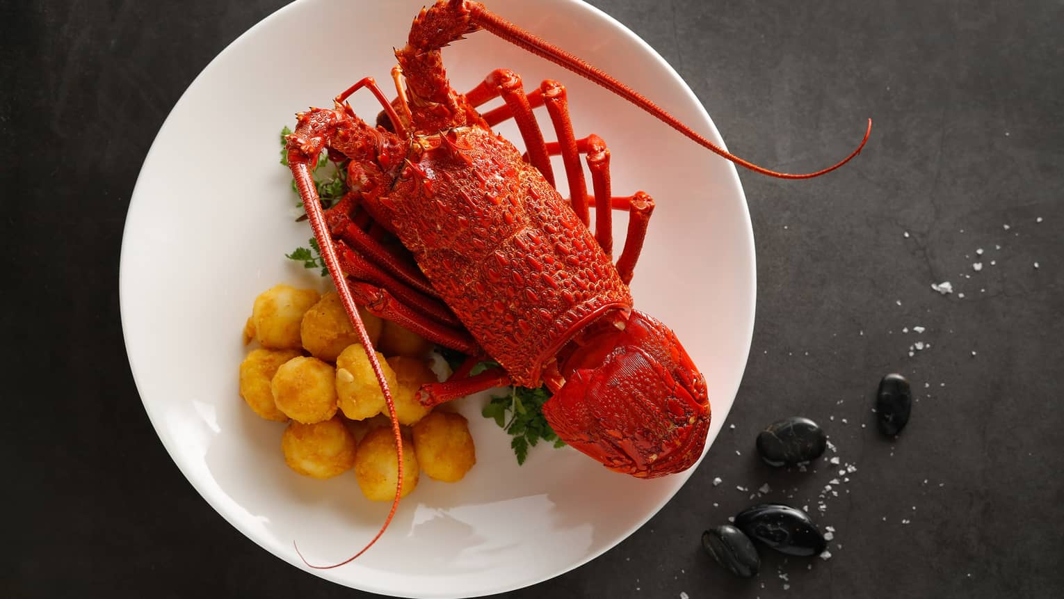 CYX - Fried Australian Lobster